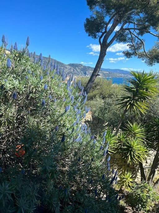 Superbe Vue Imprenable Sur La Proche Monaco Apartment *
